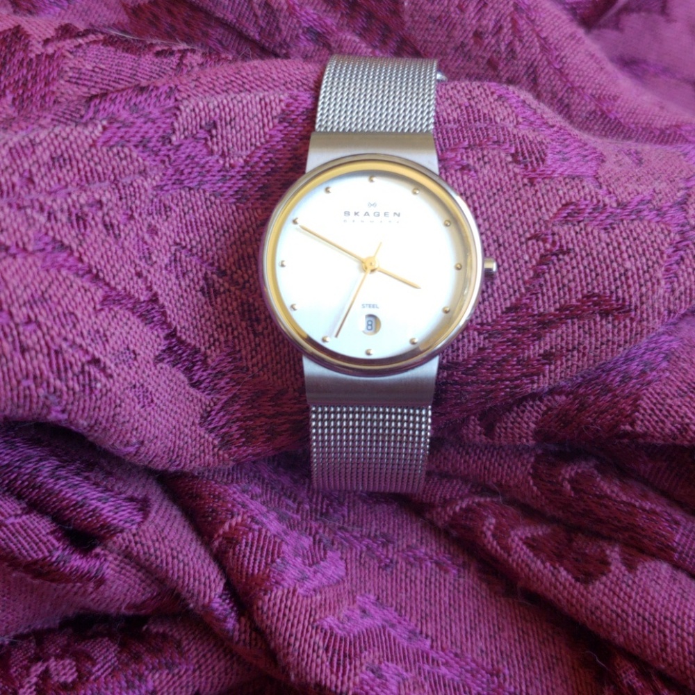 Skagen Womens Steel Mesh Watch